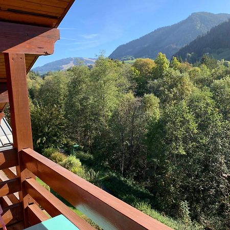 Appartement Vue Piste De Ski Praz-sur-Arly Eksteriør billede