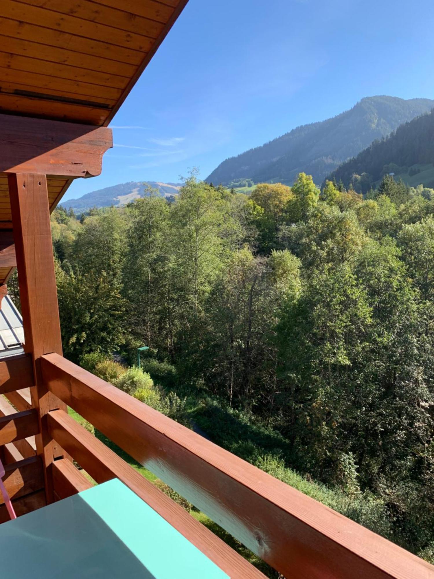 Appartement Vue Piste De Ski Praz-sur-Arly Eksteriør billede