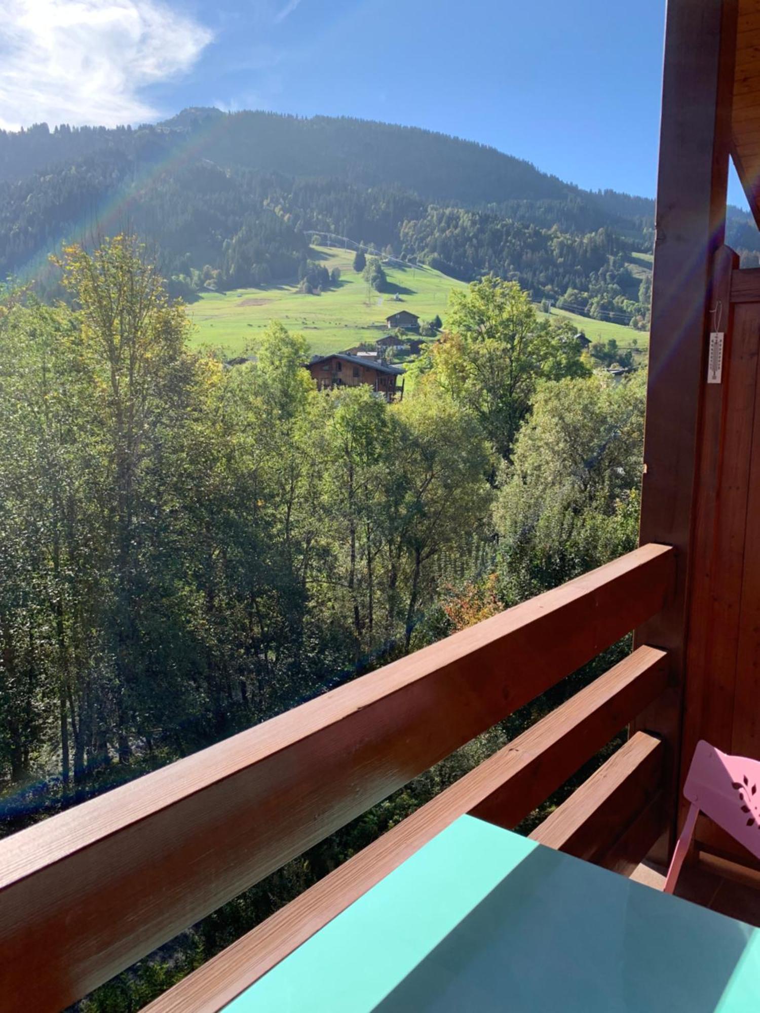 Appartement Vue Piste De Ski Praz-sur-Arly Eksteriør billede